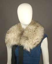 Load image into Gallery viewer, Toqué Montréal FINN COON COLLAR